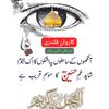 shahidaliqalandari
