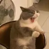 .tuurrr