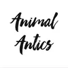 animalantics21