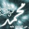 tarekhakimi282