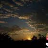 pamelaalmuna629