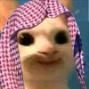 zs0_a