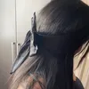 tdebs_