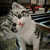 cute.girl57548
