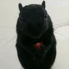 pniinii