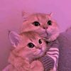 user0o629m40l7