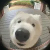 user6yeqieri3o