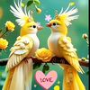 senandungcinta31
