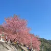 love_05_8