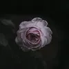 lknowthetruth