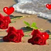 bemal_oremari