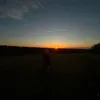 dg_813