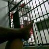 anak_kampang19