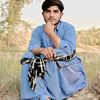 z_dbaloch09