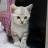 tookt_2304
