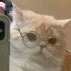 kittiphakwannapop3