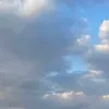 hama_2422