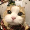 anniemeeey