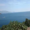 andrija_mladenovic6776