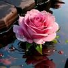 .reem843