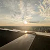 turote