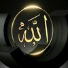 najeeb.com786
