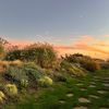 bcgfarm