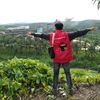 ariwijayaa03