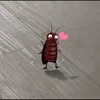 trisyayoww