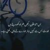 tasswarhaider22330