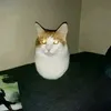 blopzobrup