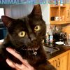 iloveanimalsforeva
