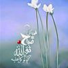 amna.smaera