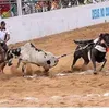 renanvaqueiro50