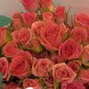 zh_flower0