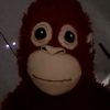 thefortnite_monkey