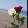nanoosh26.9