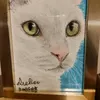 myuumaru