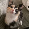 hello_kitty78996