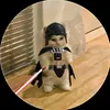vincentjaropon12
