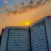 peyman883