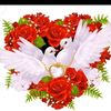 lovely.saidul