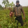 montis215mahdi