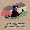 hebaahmed2877