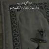 ziddi.jutt562