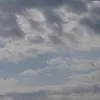 alij8393