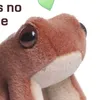 spoodiboodiboo