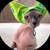 user7800319367582shidah