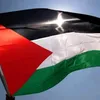 1233freepalestine7