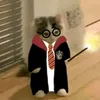 um_fan_de_harry_pottet
